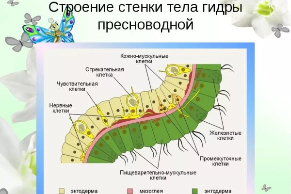 Кракен найти сайт