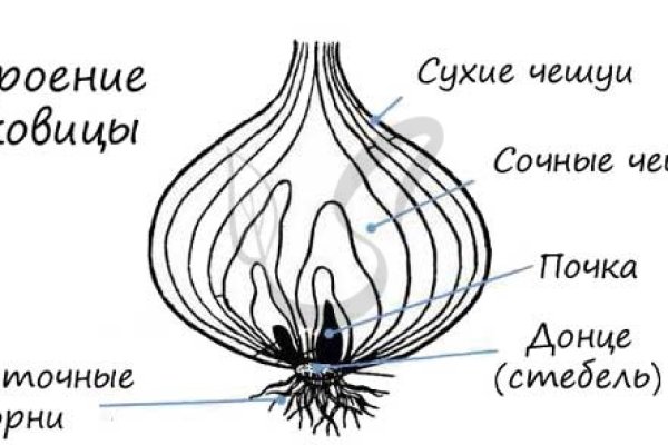 Кракен как зайти ссылка