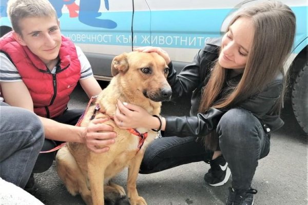 Кракен маркетплейс отзывы