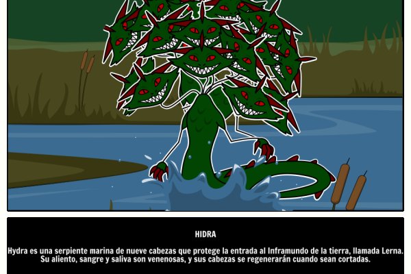 Kraken 18